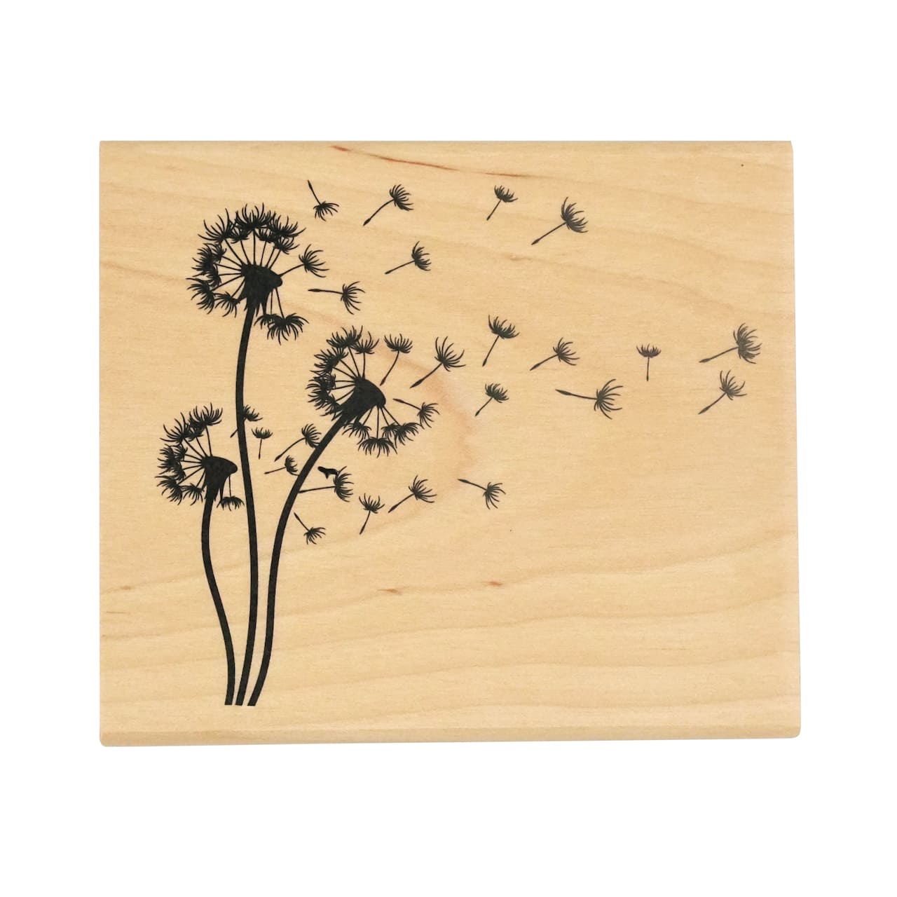 6 Pack: Dandelion Stamp by Recollections™